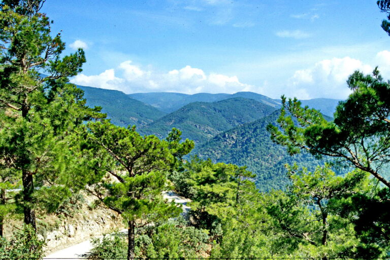 Kazdağı Müzesi