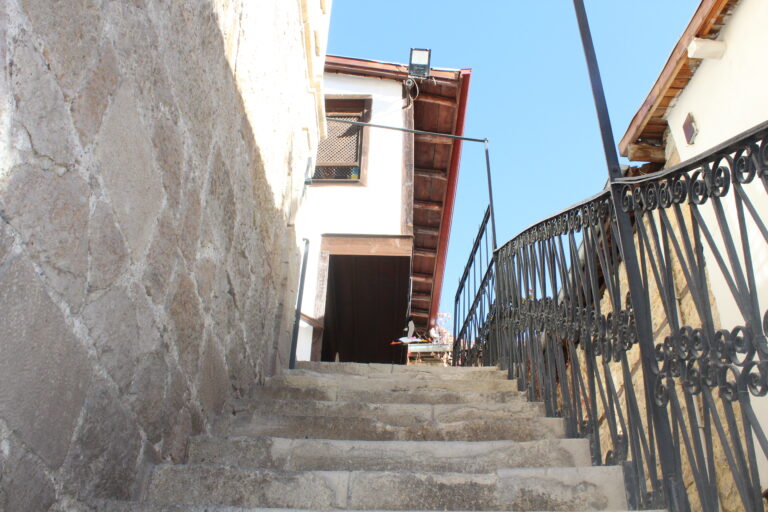 Yaşayan Müze
