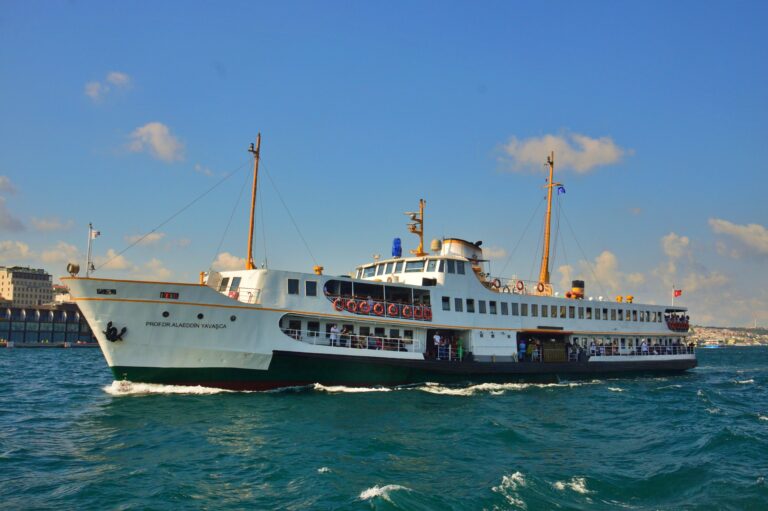 Alaeddin Yavaşça Müzesi