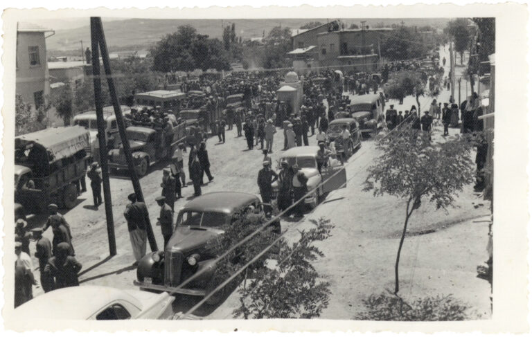 Elazığ Müzesi